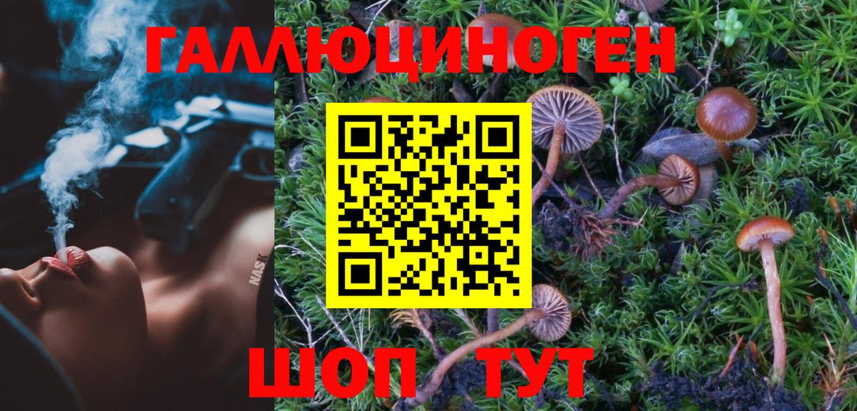 Галлюциногенные грибы GOLDEN TEACHER Саянск